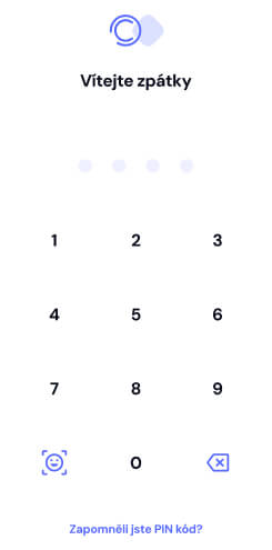 App screen with PIN code