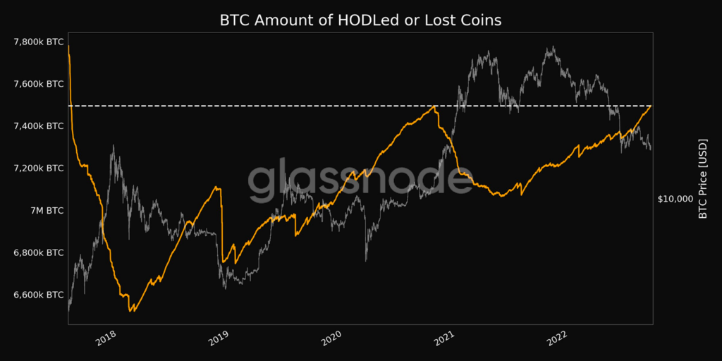 bitcoin btc hodl roste