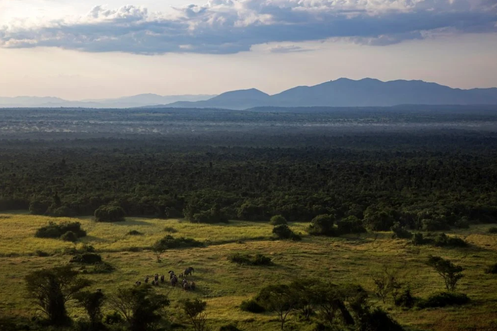 těžba bitcoinu virunga keňa životní prostředí ochrana