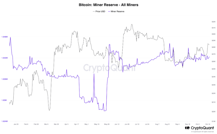 těžaři těžba mining rezervy reserves coinmate graf